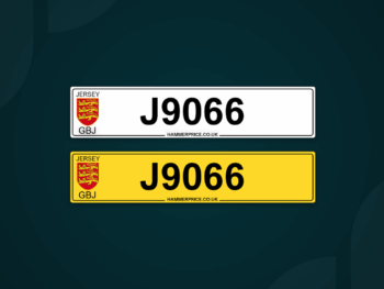 J9066